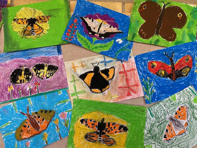 Vackra fjärilar – S:t Eriks katolska skola